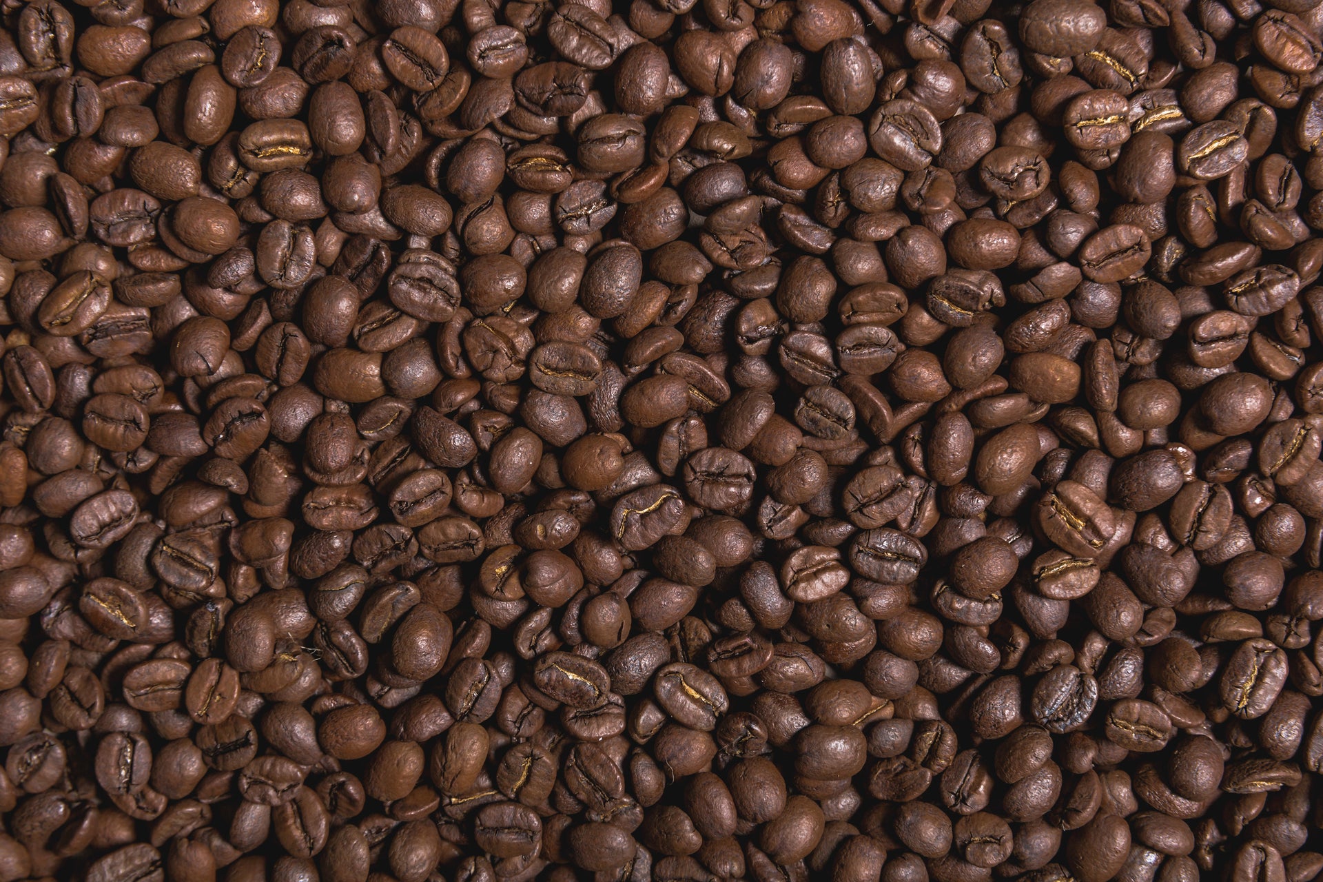 Bulk buy discount whole roasted coffee beans for cafés, offices, hotels, restaurants and other businesses.