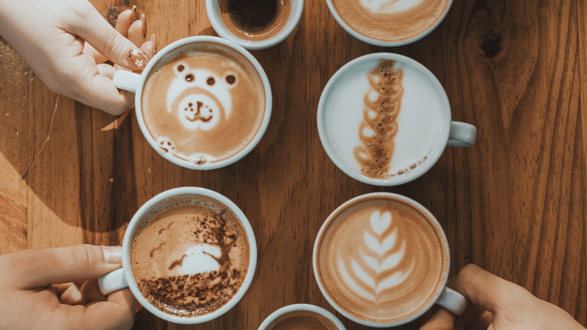Home bean-to-cup coffee machines with black coffee, automatic milk and steam-wand options.